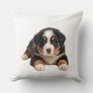 Pretty Bernese Mountain Dog Cushion