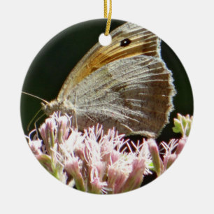 Pretty big butterfly  ceramic ornament