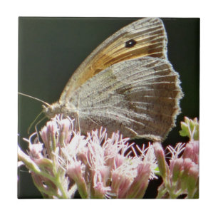 Pretty big butterfly ceramic tile