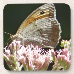 Pretty big butterfly coaster