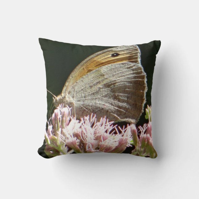 Pretty big butterfly  cushion (Front)