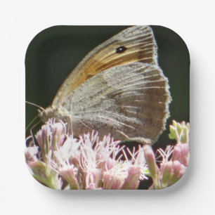 Pretty big butterfly paper plate