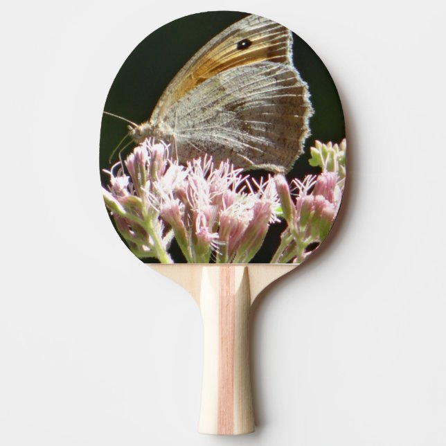 Pretty big butterfly  ping pong paddle (Front)
