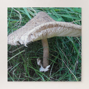 Pretty big mushroom jigsaw puzzle