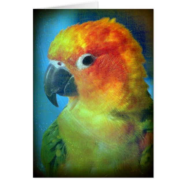Pretty Bird (Front)
