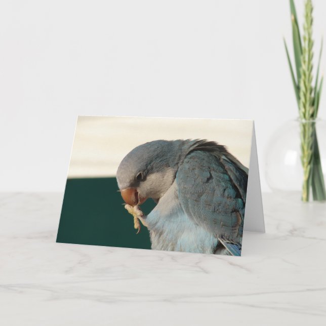 Pretty Bird Card (Front)