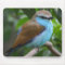 Pretty Bird Mousepad