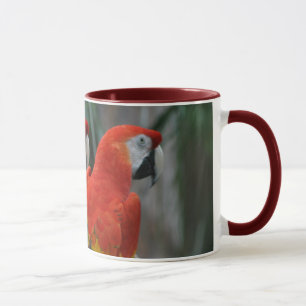 Pretty Bird Mug