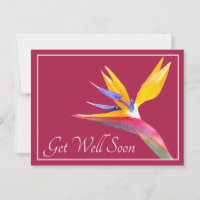 Pretty Bird Of Paradise Flower Pink Back Get Well