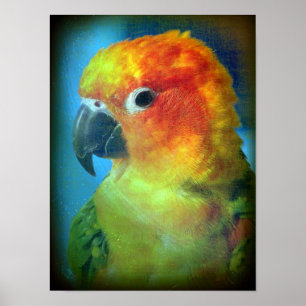 Pretty Bird Poster