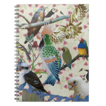 Pretty Birdies