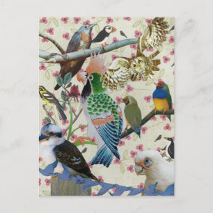Pretty Birdies Postcard