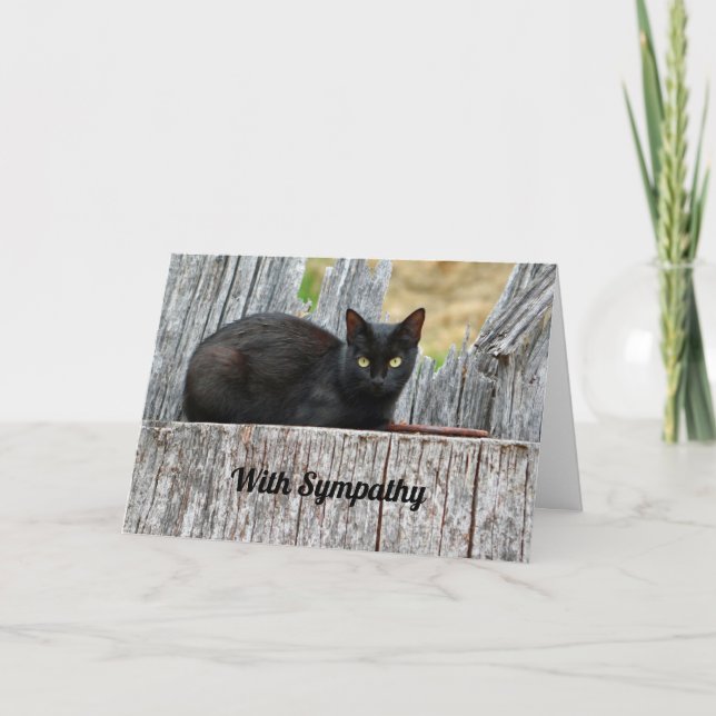 Pretty Black Cat Log Photo Sympathy Card (Front)