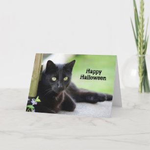 Pretty Black Cat Photo Halloween Card