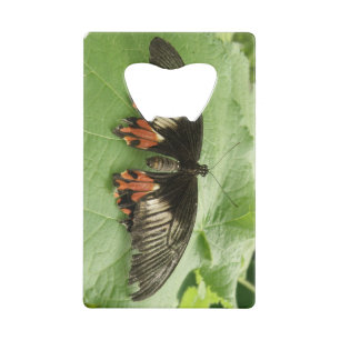 Pretty Black Red and Gold Butterfly Bottle Opener