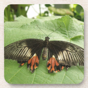 Pretty Black Red and Gold Butterfly Cork Coaster