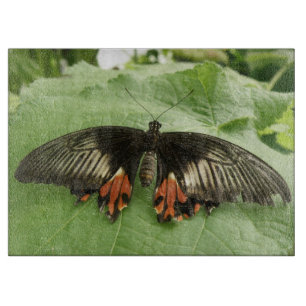 Pretty Black Red and Gold Butterfly Cutting Board