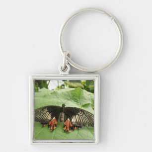 Pretty Black Red and Gold Butterfly Keychain