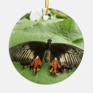Pretty Black Red and Gold Butterfly Ornament