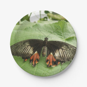 Pretty Black Red and Gold Butterfly Paper Plate