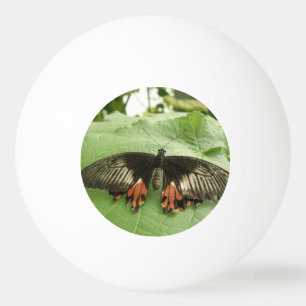 Pretty Black Red and Gold Butterfly Ping Pong Ball
