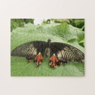 Pretty Black Red and Gold Butterfly Puzzle