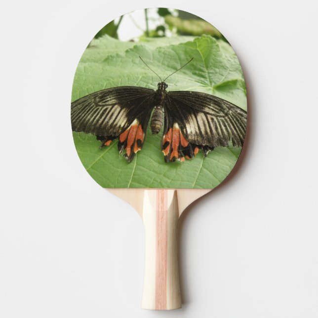Pretty Black Red and Gold Buttetrfly Ping Pong Paddle (Front)