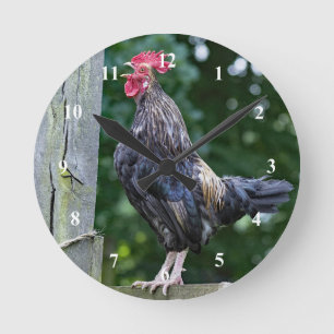 Pretty Black Rooster Crowing Photo Round Clock