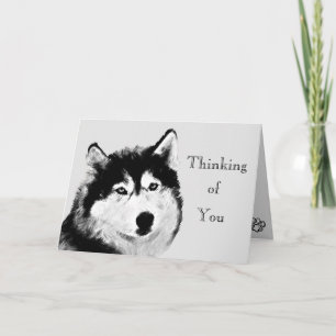 Pretty Black White Husky Greeting Card