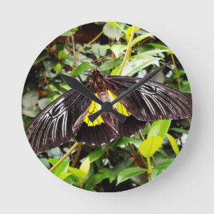 pretty black yellow butterfly photograph round clock