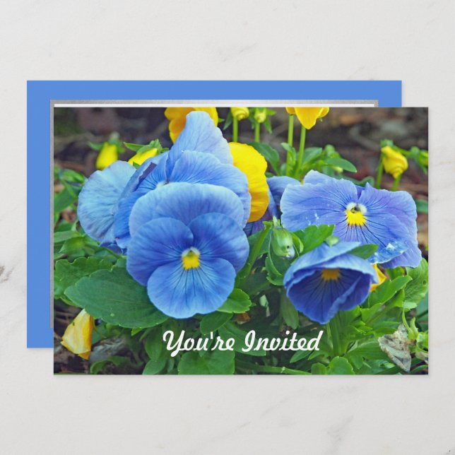 Pretty Blue and Yellow Pansy Floral Photo Birthday Invitation (Front/Back)
