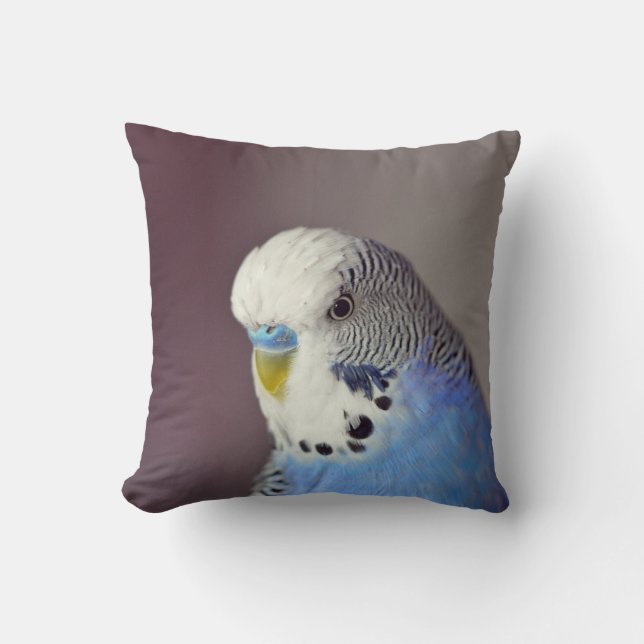Pretty Blue Budgie Photo Cushion (Front)