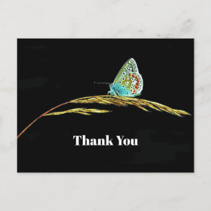 Pretty Blue Butterfly Grass Photo Thank You Postcard