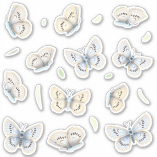 Pretty Blue & Cream Butterflies Garden Nature