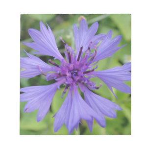 Pretty blue granary notepad
