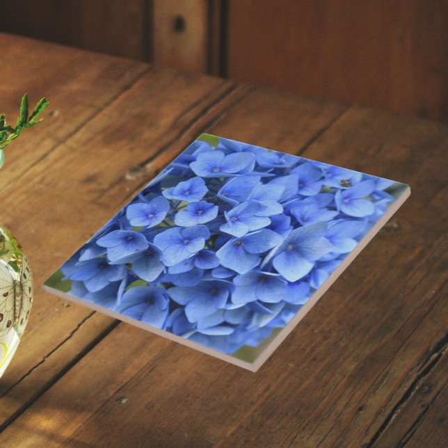 Pretty Blue Hydrangea Bloom Floral Ceramic Tile (In Situ)