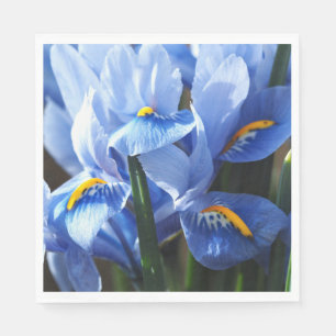 Pretty blue iris napkin