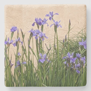 Pretty Blue Irises Floral Stone Coaster