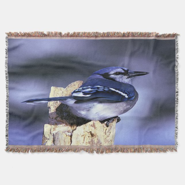 Pretty Blue Jay Throw Blanket (Front)