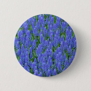Pretty blue muscari flowers 6 cm round badge