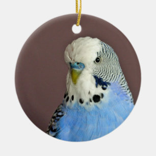 Pretty Blue Parakeet Photo Ceramic Ornament