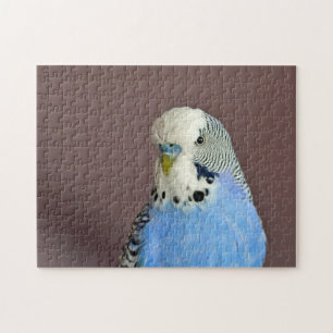 Pretty Blue Parakeet Photo Jigsaw Puzzle