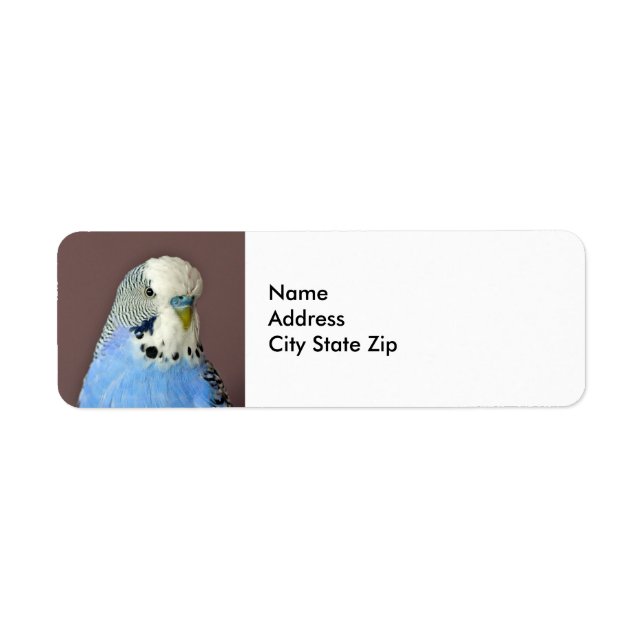 Pretty Blue Parakeet Photo Label Return Address Label (Front)