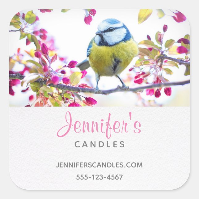 Pretty Blue & Yellow Bird on a Branch Business Square Sticker (Front)