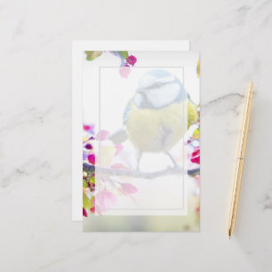 Pretty Blue & Yellow Bird on a Branch Photograph