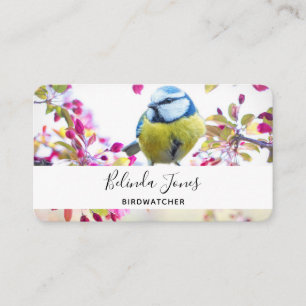 Pretty Blue & Yellow Bird on a Branch Photograph Business Card