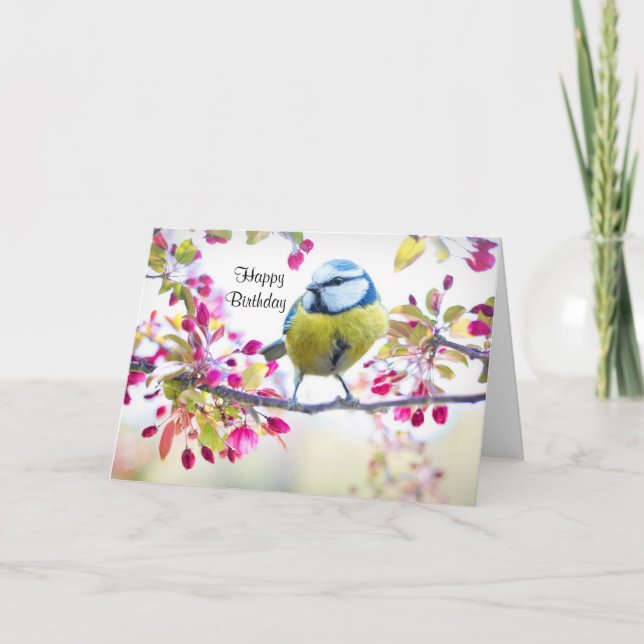 Pretty Blue & Yellow Bird on a Branch Photograph Card (Front)