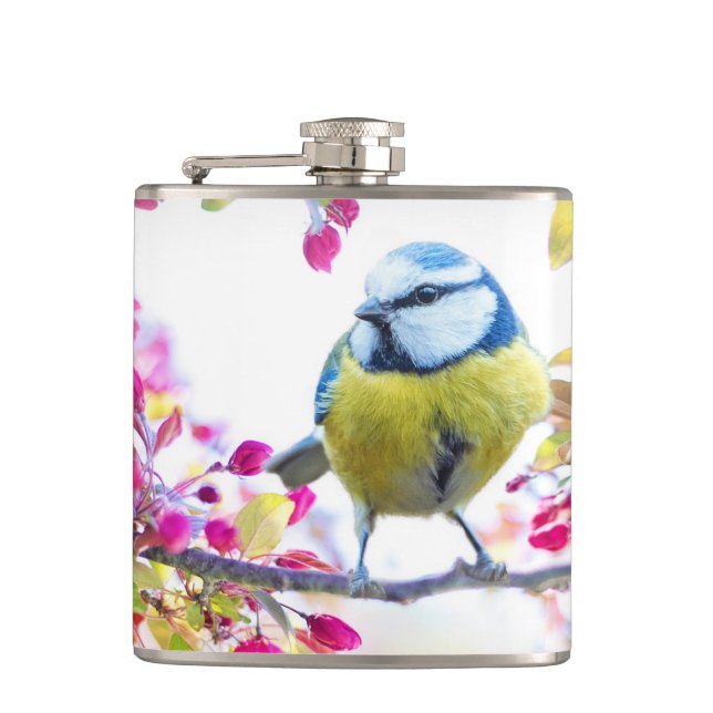 Pretty Blue & Yellow Bird on a Branch Photograph Hip Flask (Front)