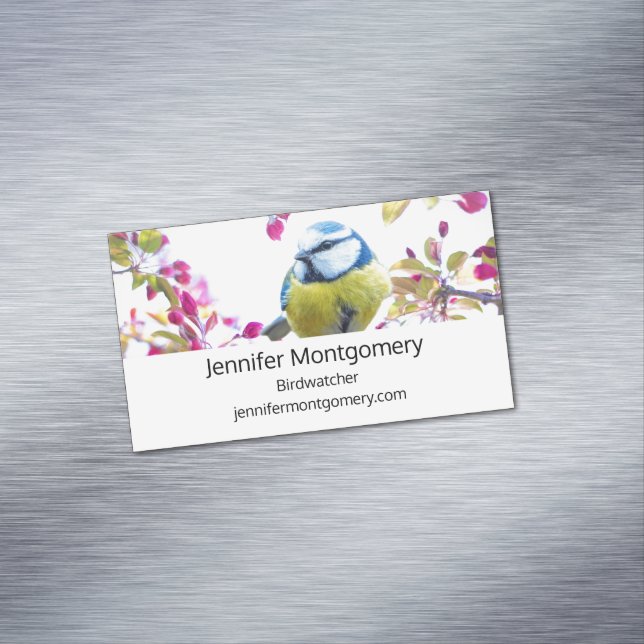Pretty Blue & Yellow Bird on a Branch Photograph Magnetic Business Card (In Situ)