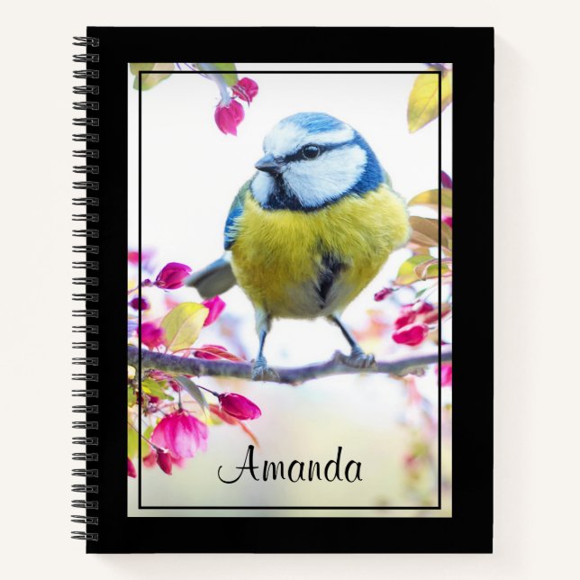 Pretty Blue & Yellow Bird on a Branch Photograph Notebook (Front)
